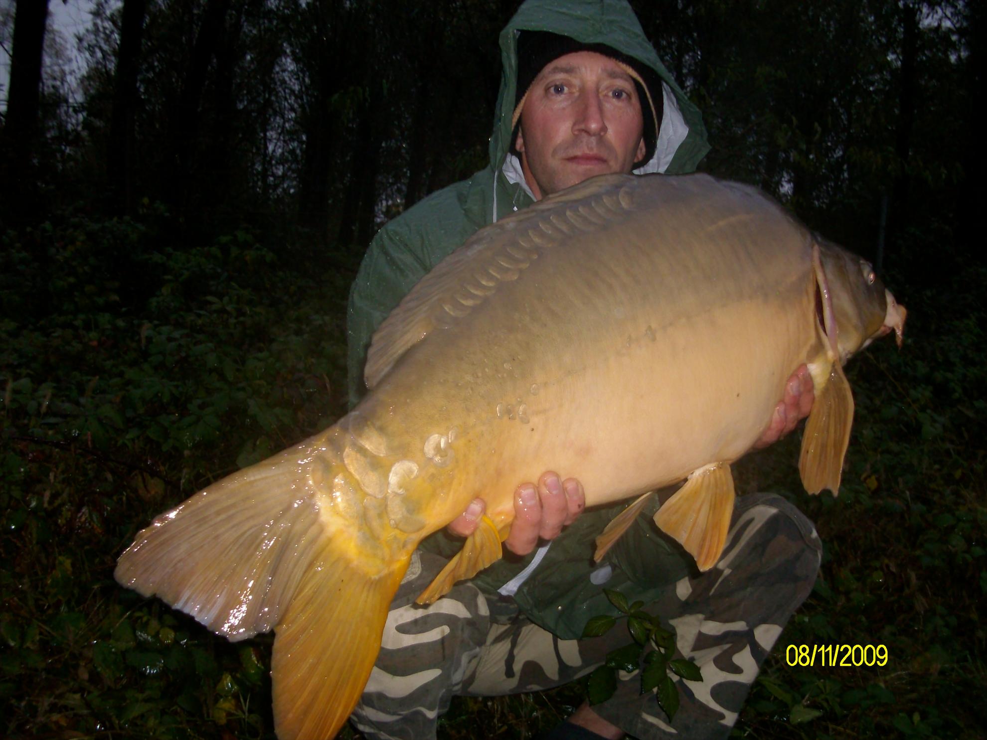 florian tanasa - 1201.JPG